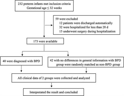 Predictive values of clinical data,molecular biomarkers, and echocardiographic measurements in preterm infants with bronchopulmonary dysplasia